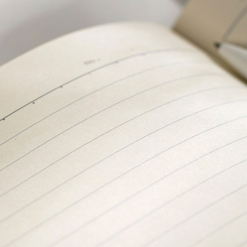 Ежедневник недатированный Deli А5, 96 страниц, 80 г/кв.м., серый 