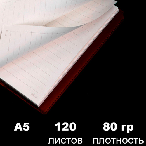 Ежедневник недатированный Deli "Nusign" А5, 240 страниц, мягкая обложка, ассорти