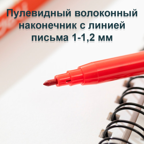 Фломастеры Deli "ColoRun", 12 цветов, картон Фломастеры Deli "ColoRun", 12 цветов, картон