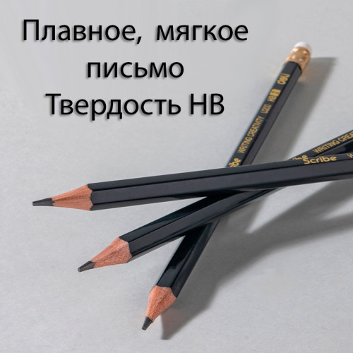 Карандаш DELI "Scribe", НВ, шестигранный корпус, дерево, с ластиком, темно-синий Карандаш DELI "Scribe", НВ, шестигранный корпус, дерево, с ластиком, темно-синий