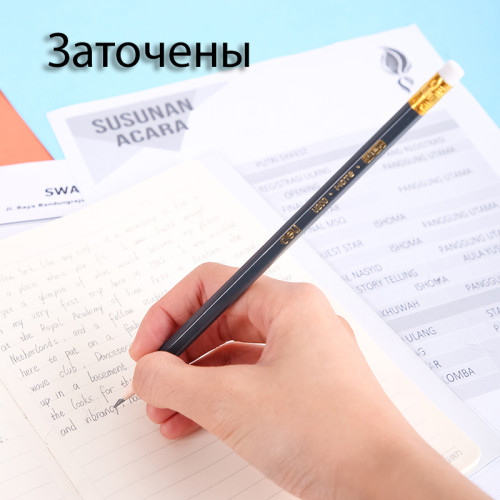 Карандаш DELI "Scribe", НВ, шестигранный корпус, дерево, с ластиком, темно-синий Карандаш DELI "Scribe", НВ, шестигранный корпус, дерево, с ластиком, темно-синий