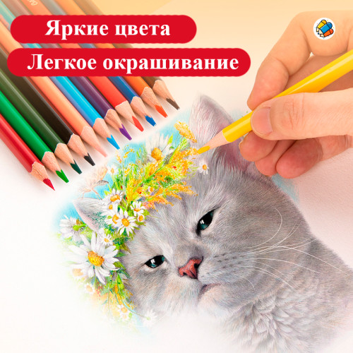 Карандаши цветные Deli "ColoRun", 12 цветов, дерево, картон