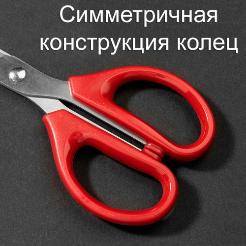 Ножницы DELI 160 мм,  пластиковые ручки, цвет ассорти