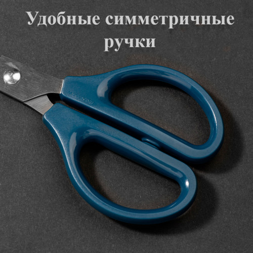 Ножницы DELI, 170 мм, пластиковые ручки, цвет ассорти