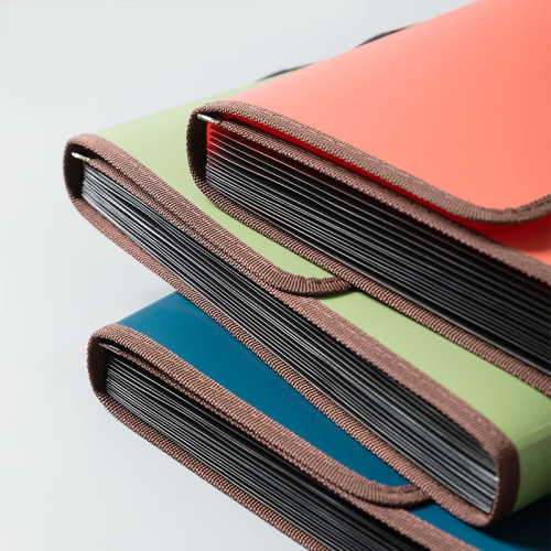 Папка-портфель DELI, А4+, с ручкой 13 отделений, ассорти