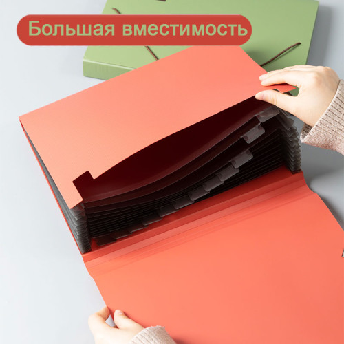 Папка-портфель DELI, на резинке 13 отделений,  ассорти
