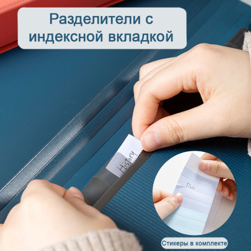 Папка-портфель DELI, на резинке 13 отделений,  ассорти