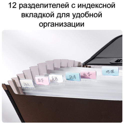 Папка-портфель DELI, с ручкой 13 отделений, синий