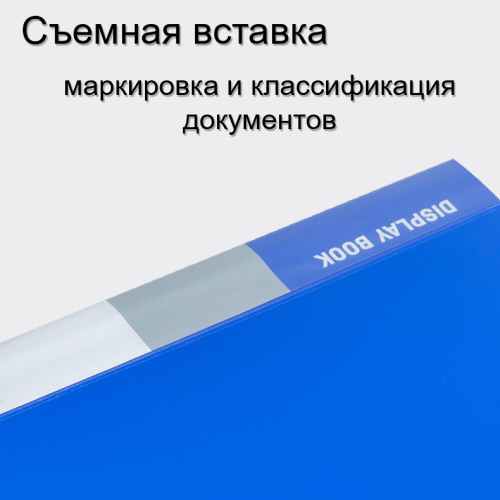 Папка с файлами DELI "Classic" на 10 вкладышей, 0.5 мм, ассорти