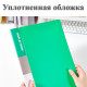 Папка с файлами DELI "Classic" на 10 вкладышей, 0.5 мм, зеленая