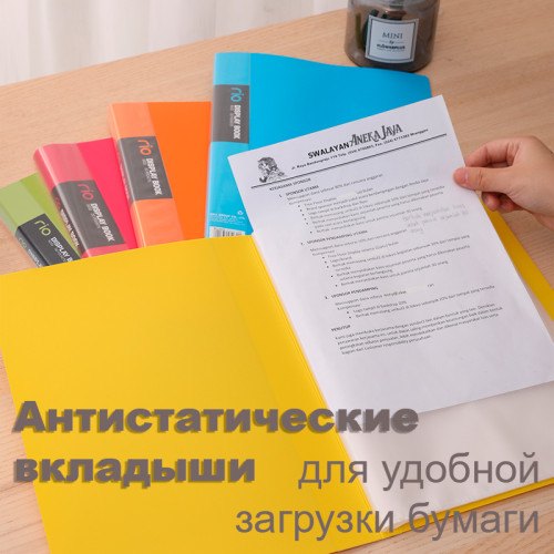 Папка с файлами DELI "Rio" на 30 вкладышей, ассорти