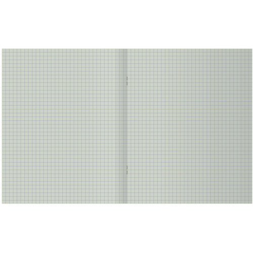 Тетрадь общая BG, А4, 96 листов в клетку, обложка бумвинил, синий, эконом