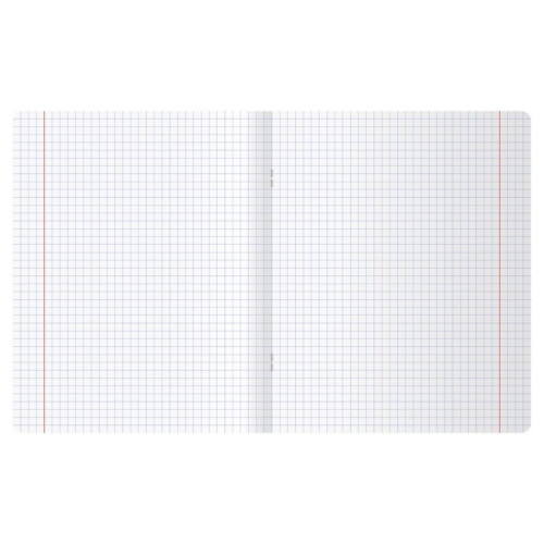 Тетрадь общая BG "Сочная тетрадь", А5, 48 листов в клетку, на скрепке