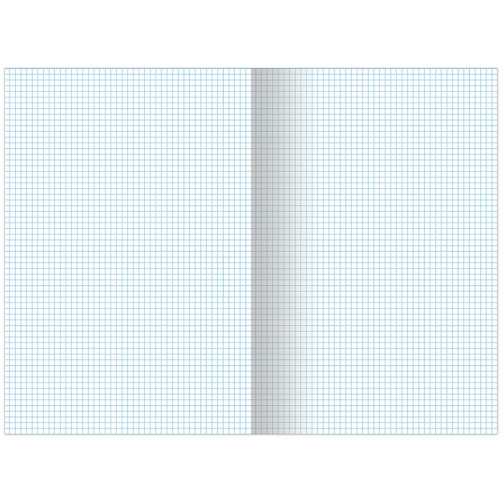 Тетрадь общая BRAUBERG "Contract", А4, 96 листов в клетку, на скрепке