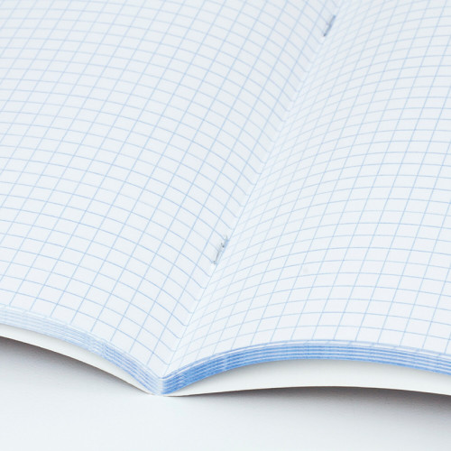 Тетрадь общая BRAUBERG "Inday", А4, 96 листов в клетку, на скрепке