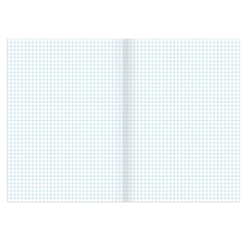 Тетрадь общая BRAUBERG "Замки", А4, 96 листов в клетку, на скрепке