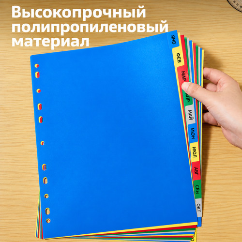Разделитель пластиковый DELI, А4, 12 листов, Jan-Dec, цветной