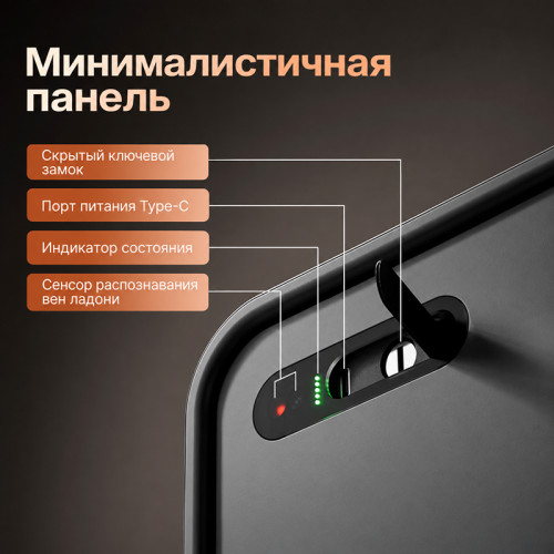 Сейф LockSworth сканер ладони + bluetooth + ключ, 200х310х200 мм, 4 кг, черный