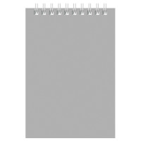 Блокнот BG "Для конференций" на спирали, А6, 60 листов в клетку, серый