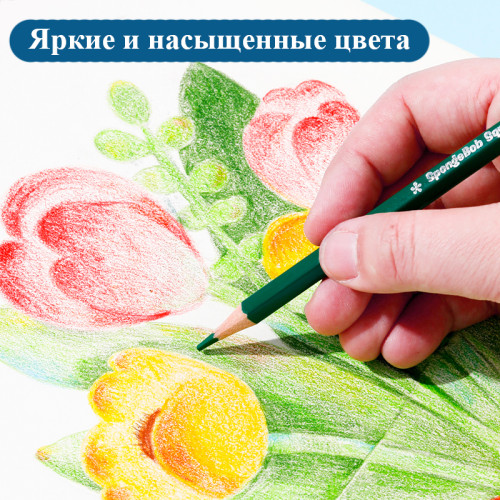 Карандаши цветные Deli "SpongeBob", 12 цветов, дерево, картон