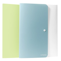 Папка-конверт на кнопке DELI "LonGreen", А4, 8 отделений, ассорти