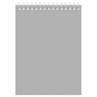 Блокнот BG "Для конференций" на спирали, А5, 60 листов в клетку, серый