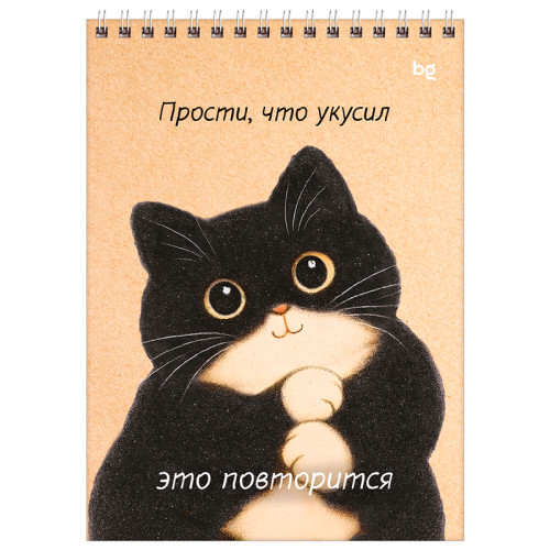 Блокнот  BG "Настроение - кот" на спирали, А5, 60 листов в клетку