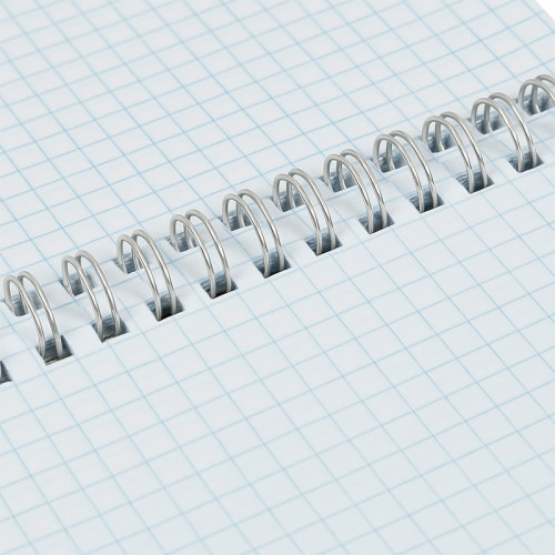 Блокнот  BG "Настроение - кот" на спирали, А5, 60 листов в клетку