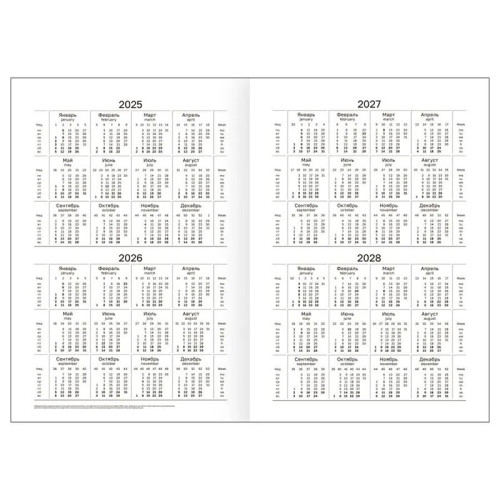 Ежедневник BG "БУМВИНИЛ" А5, недатированный, 160 листов, синий