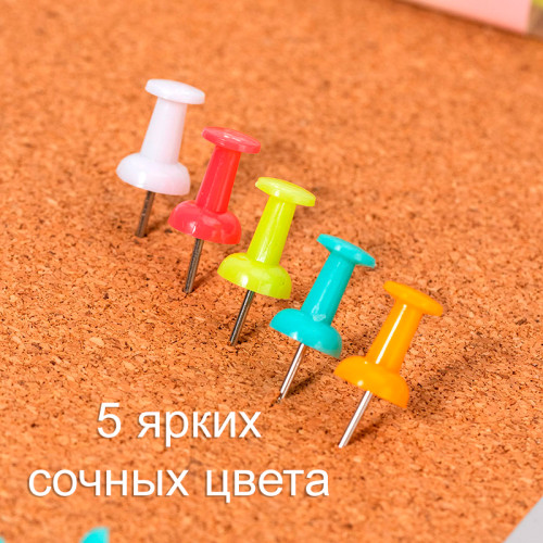 Гвоздики для доски DELI "RIO", цветные, 100 штук в пластиковой коробочке