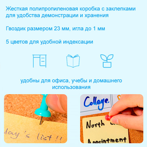 Гвоздики для доски DELI "RIO", цветные, 100 штук в пластиковой коробочке