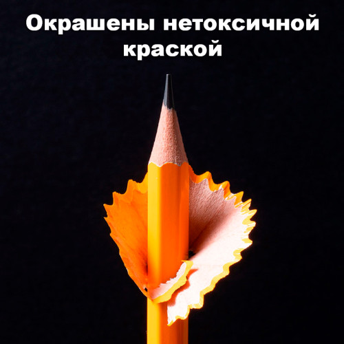 Карандаш DELI "Scribe", НВ, шестигранный корпус, дерево, с ластиком, желтый