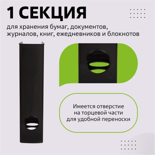 Лоток вертикальный СТАММ "ЛИДЕР", ширина 75 мм., черный