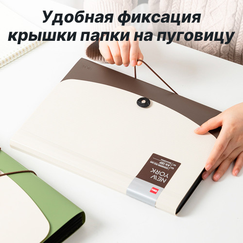 Папка-портфель DELI, А4, 13 отделений, 0,65 мм, ассорти