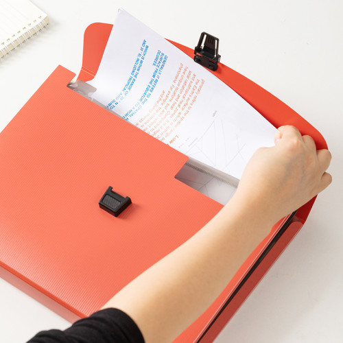 Папка-портфель DELI, А4, 13 отделений, 0,75 мм,  ассорти 