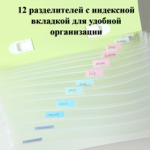 Папка-портфель DELI "LonGreen", А4, 13 отделений, 0,75 мм, ассорти