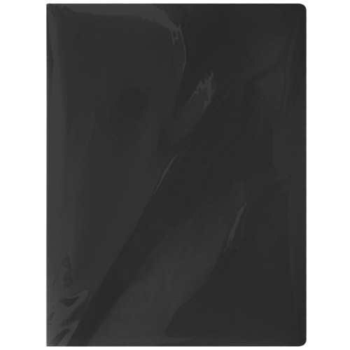 Папка с файлами СТАММ на 10 вкладышей, черная