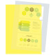 Папка-уголок Silwerhof, А4, 120 мкм, желтая