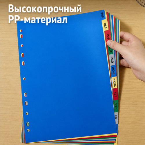 Разделитель пластиковый DELI, А4, 12 листов, Jan-Dec, цветной