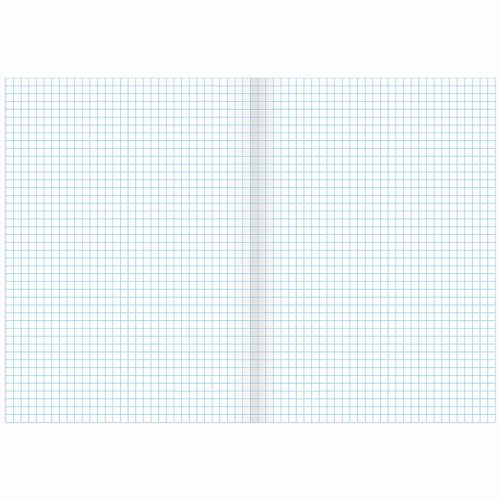 Тетрадь общая BRAUBERG "Inday", А4, 96 листов в клетку, на скрепке