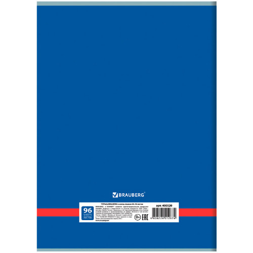 Тетрадь общая BRAUBERG "Inday", А4, 96 листов в клетку, на скрепке