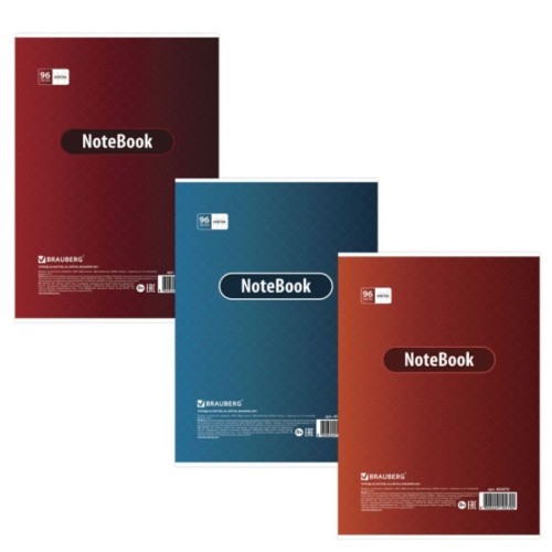 Тетрадь общая BRAUBERG "Замки", А4, 96 листов в клетку, на скрепке