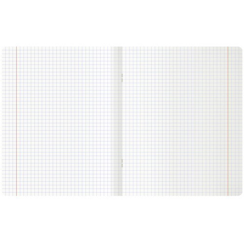 Тетрадь общая MESHU "Сhatty cat", А5, 48 листов в клетку, матовая ламинация, выб. лак, на скрепке