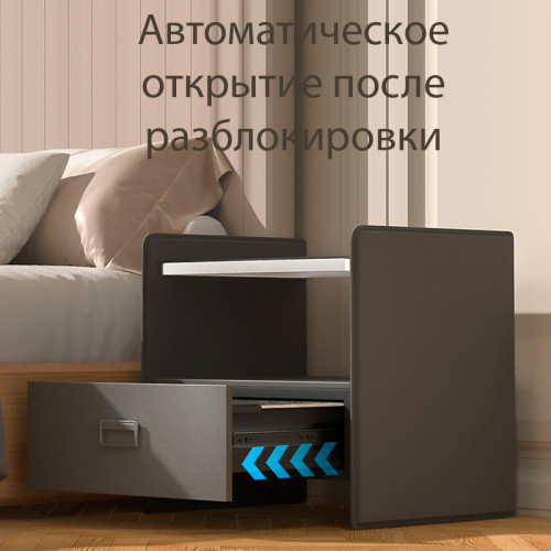 Сейф мебельный DELI "AE300" биометрический + электрон.замок + ключ, 520х425х490 мм, 25,7 кг, серый Сейф мебельный DELI "AE300" биометрический + электрон.замок + ключ, 520х425х490 мм, 25,7 кг, серый